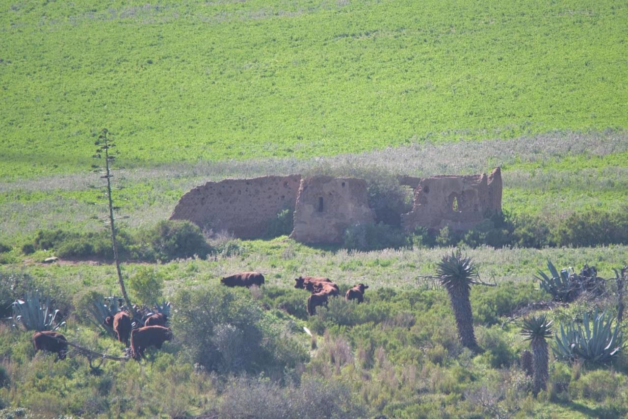 Old Sam'S Cottage Bredasdorp Exteriér fotografie